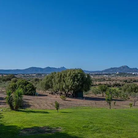 Patrizia-luxury House Daire Olbia