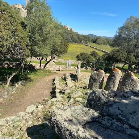 Patrizia-luxury House * 올비아