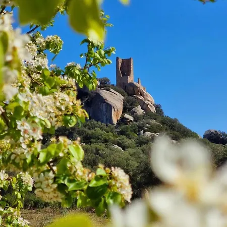 Patrizia-luxury House 아파트 올비아