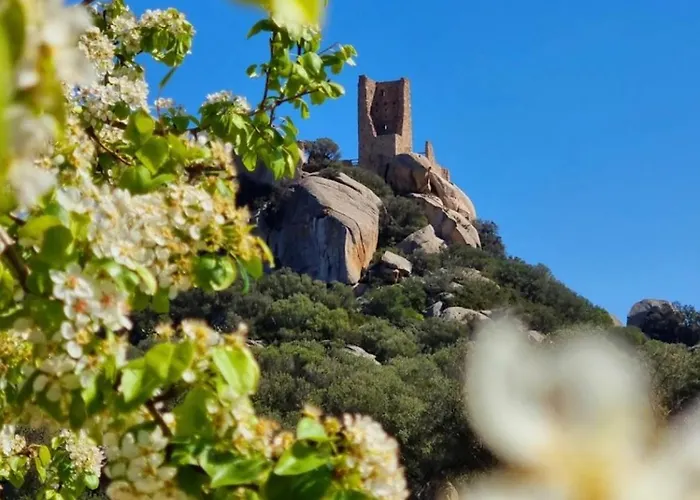 Patrizia-luxury House Apartman Olbia